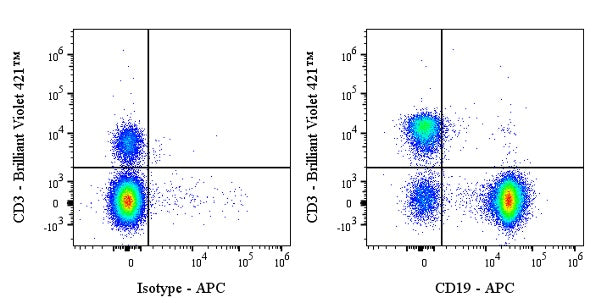 APC Rat Anti-Mouse CD19 Antibody (1D3)
