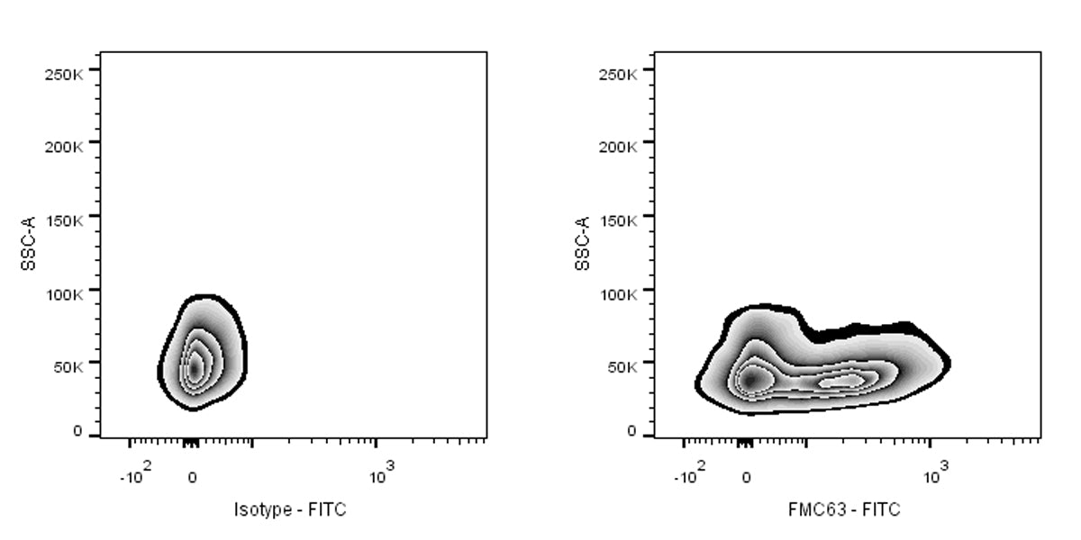 Anti-FMC63 Recombinant Rabbit mAb (FITC Conjugate) (S-2163-77)