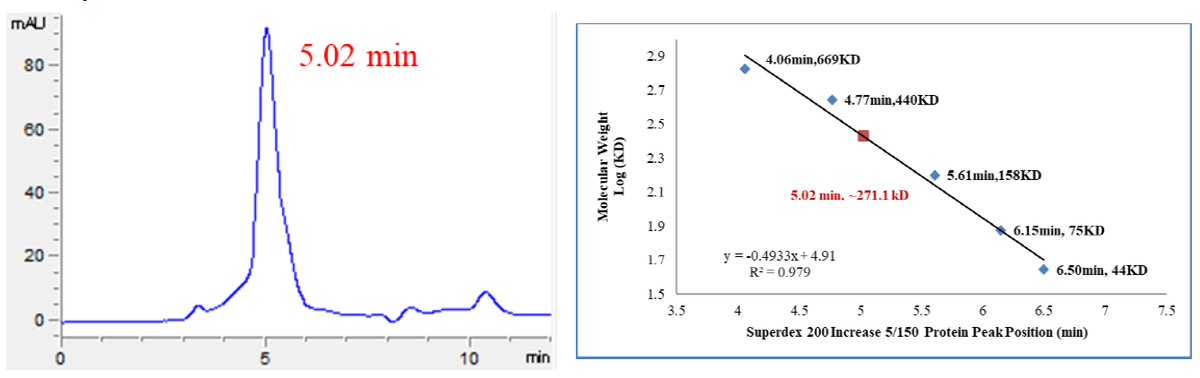CSF1R(FMS) GST Tag Protein, Human