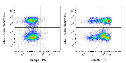PE Mouse Anti-Human CD226 Antibody (DX11)