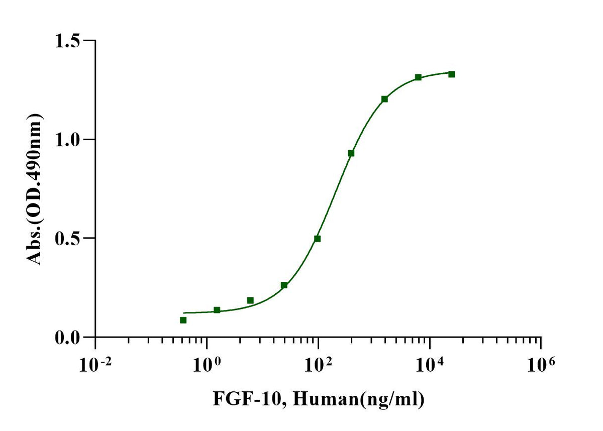 FGF-10 Protein, Human