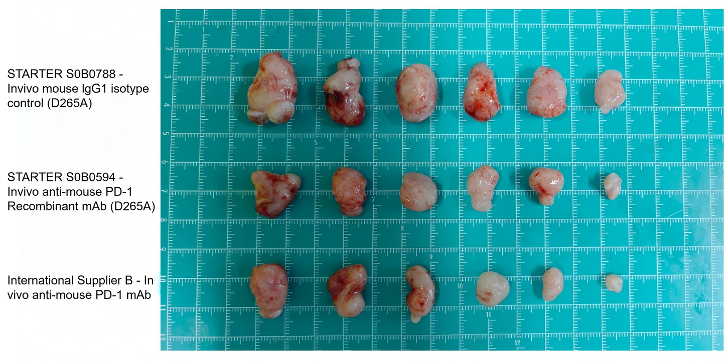 Invivo anti-mouse PD-1 Recombinant mAb (D265A)