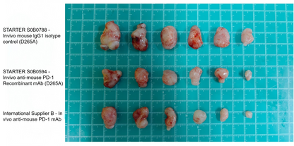 Invivo anti-mouse PD-1 Recombinant mAb (D265A)
