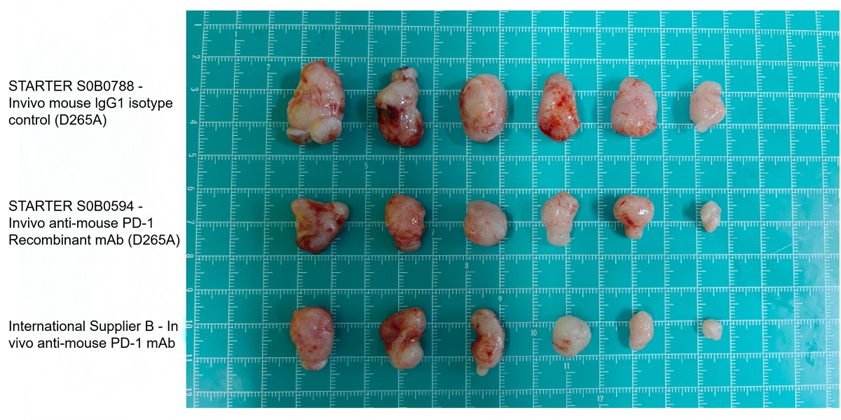Invivo anti-mouse PD-1 Recombinant mAb (D265A)