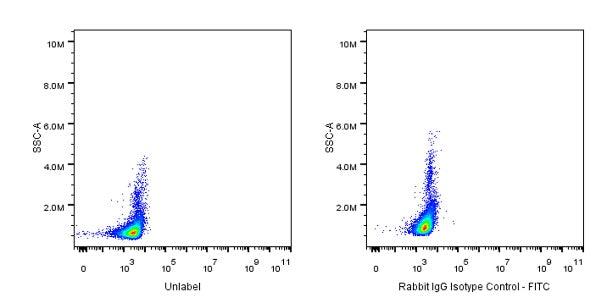 FITC Rabbit IgG Isotype Control Antibody (S-R058)