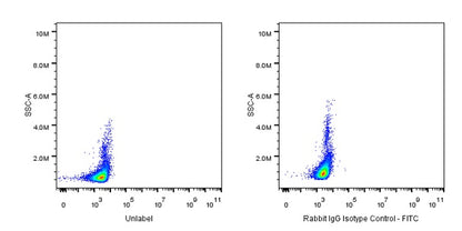 FITC Rabbit IgG Isotype Control Antibody (S-R058)