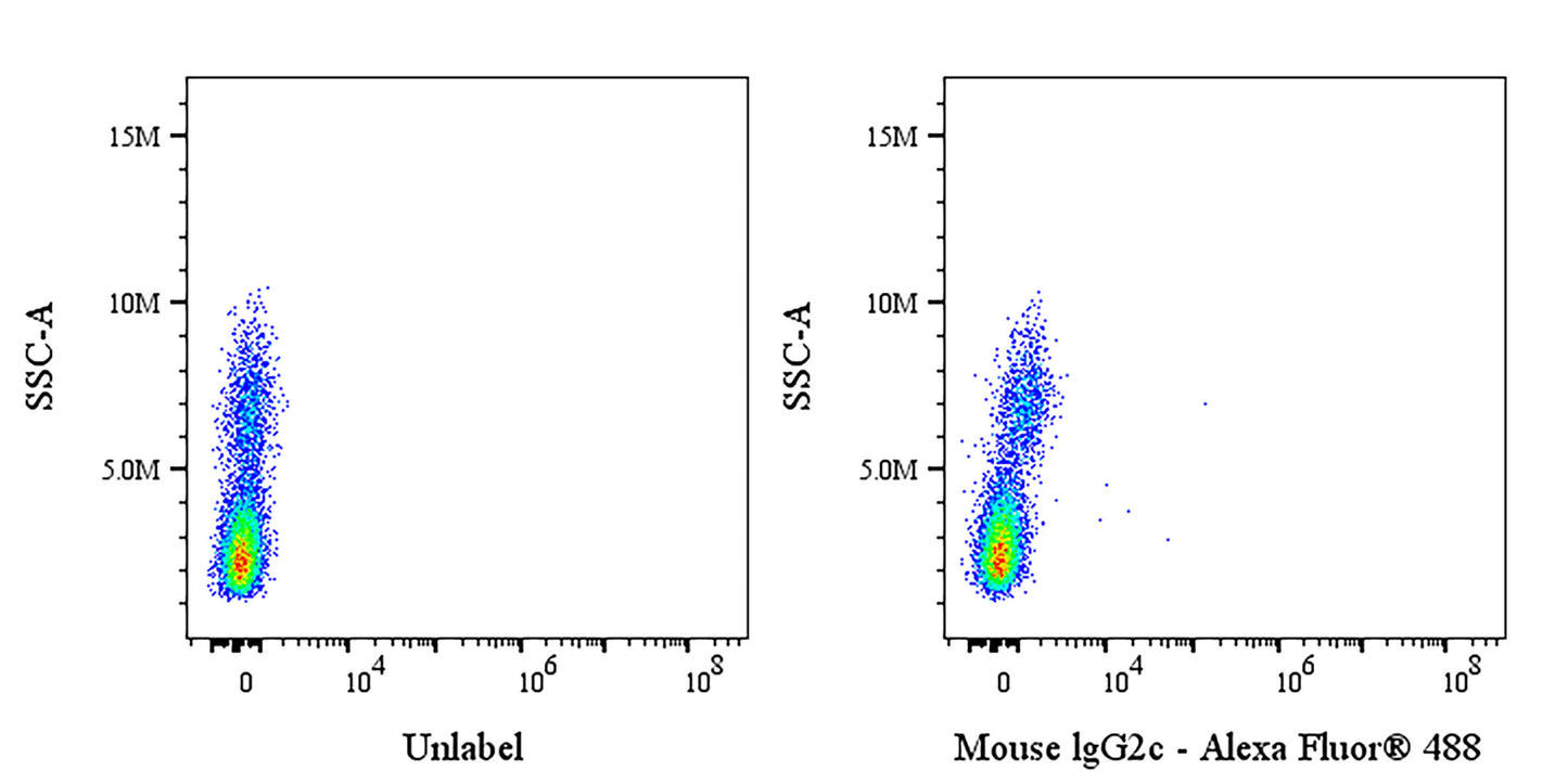 Invivo Mouse IgG2c Isotype Control, anti-Dengue Virus