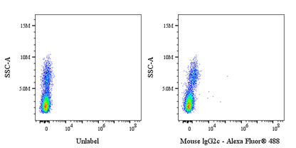 Invivo Mouse IgG2c Isotype Control, anti-Dengue Virus