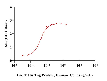 BAFF/TNFSF13B/CD257 Trimer His Tag Protein, Human