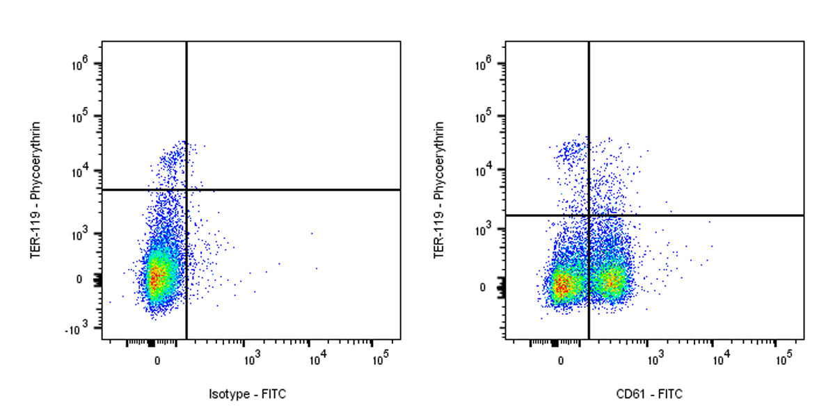FITC Armenian hamster Anti-Mouse/Rat CD61 Antibody (2C9.G2)