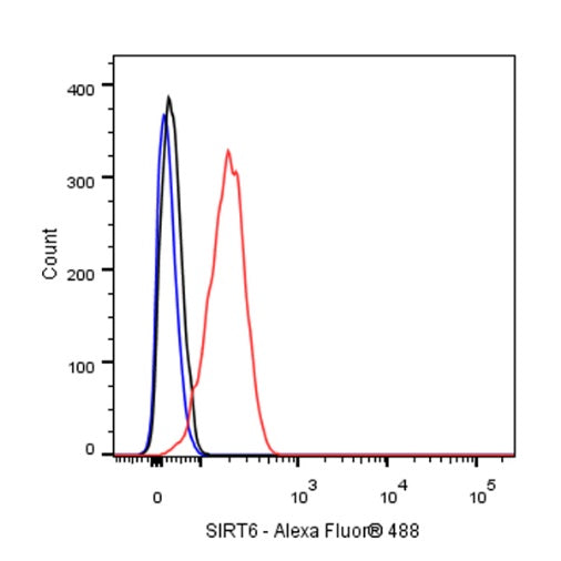 SIRT6 Recombinant Rabbit mAb (S-885-56)