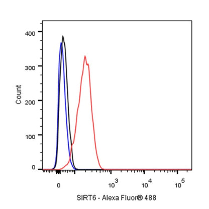 SIRT6 Recombinant Rabbit mAb (S-885-56)