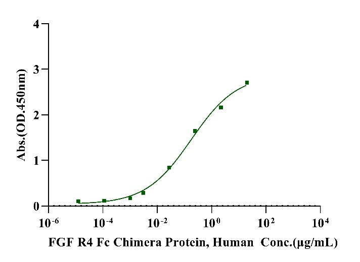 FGF R4 Fc Chimera Protein, Human