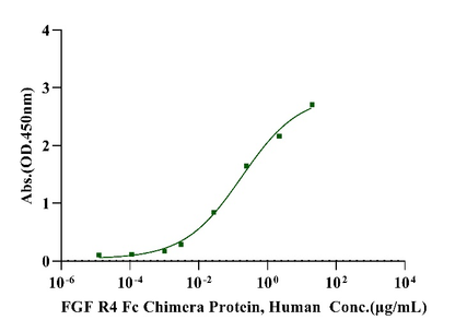 FGF R4 Fc Chimera Protein, Human