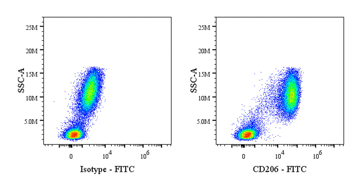 FITC Mouse Anti-Human CD206 Antibody (15-2)