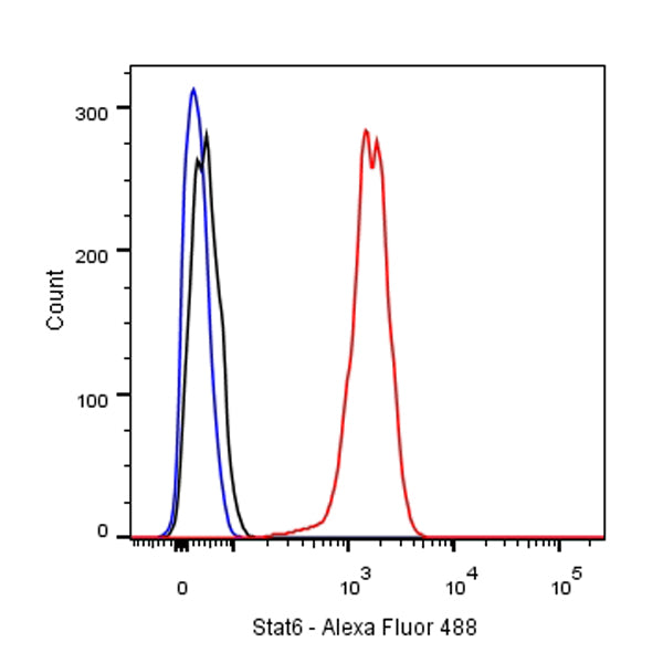 S-RMab® Stat6 Recombinant Rabbit mAb (SDT-337-32)