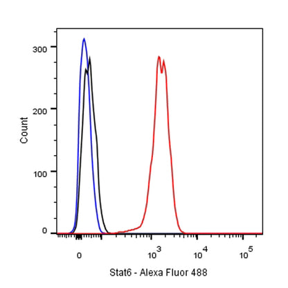 S-RMab® Stat6 Recombinant Rabbit mAb (SDT-337-32)
