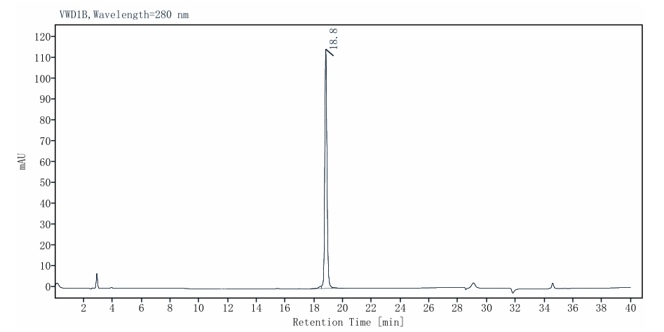 T4 DNA Polymerase