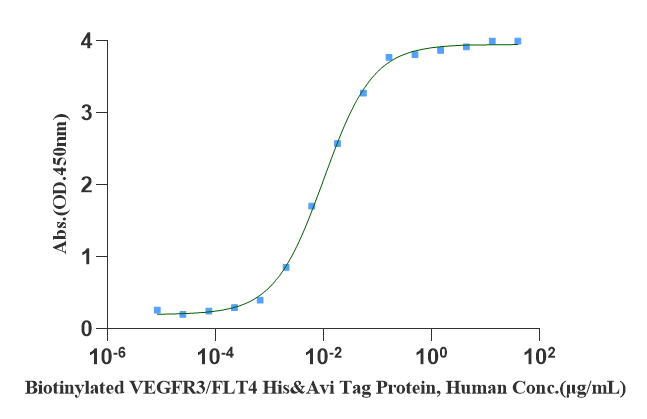 VEGF-C Protein, Human