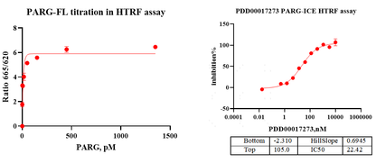 PARG His Tag Protein, Human