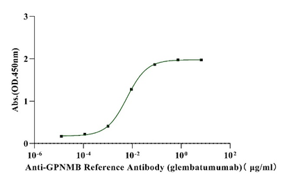 GPNMB Fc Chimera Protein, Human