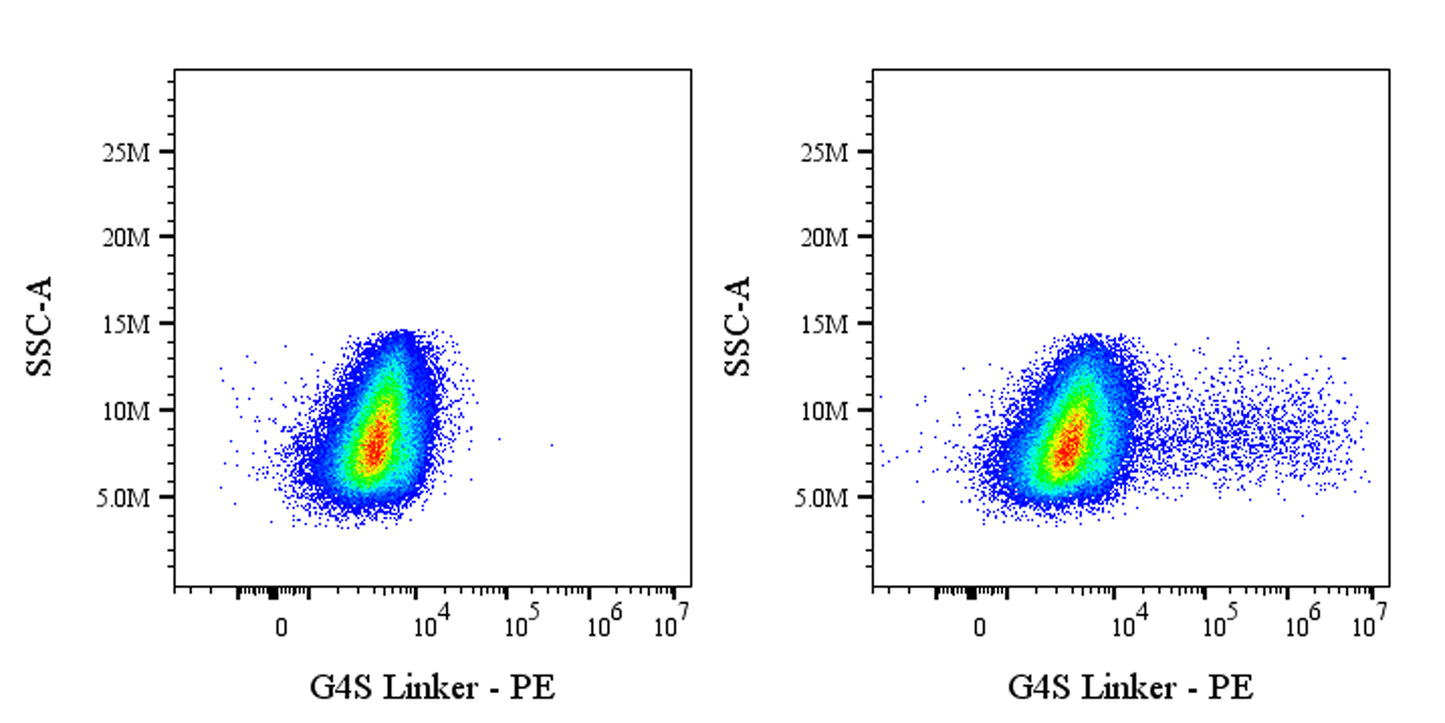 G4S Linker Recombinant Rabbit mAb (PE Conjugate) (S-5030)