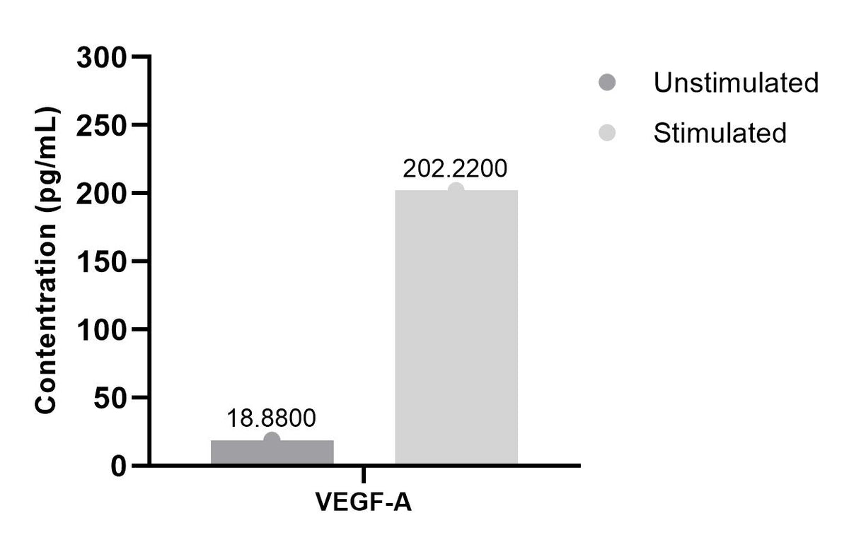Human VEGFA Single Plex Kit (Flow Cytometry Bead Assay)
