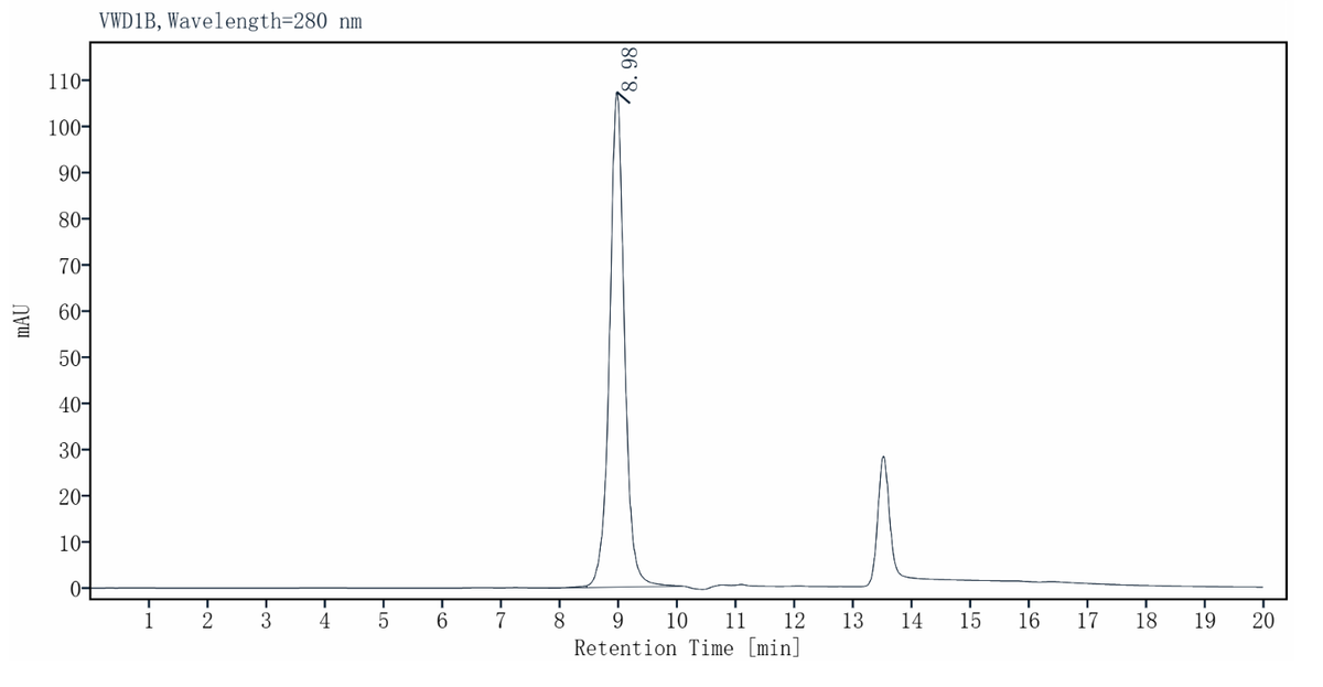 ACVR2B His Tag Protein, Human