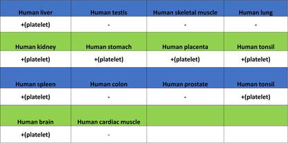 CD41 Mouse mAb (S-3057-8)