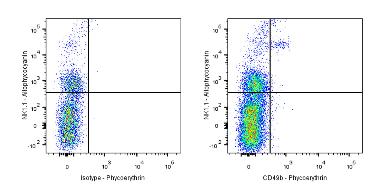 Armenian hamster Anti-Rat CD49b Antibody (S-R688)