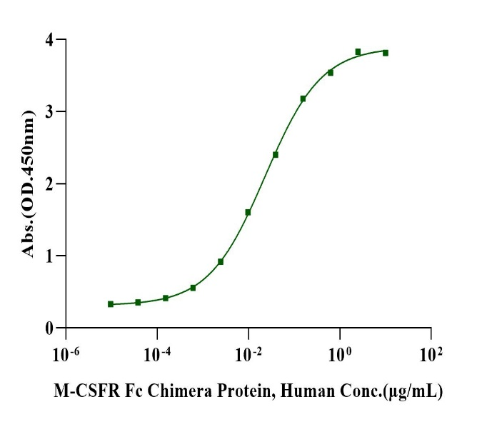 M-CSFR Fc Chimera Protein, Human
