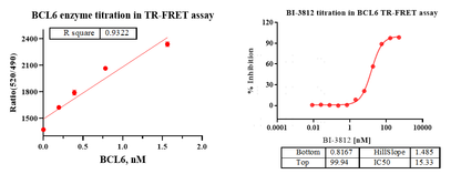 BCL6 Protein, Human