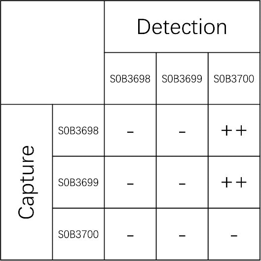 CXCL9 Recombinant Rabbit mAb (SDT-1314-113)