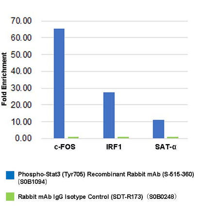 Phospho-Stat3 (Tyr705) Recombinant Rabbit mAb (S-515-360)