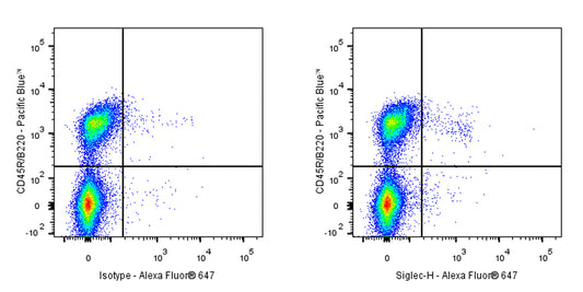 Rat Anti-Mouse Siglec-H Antibody (S-3779)