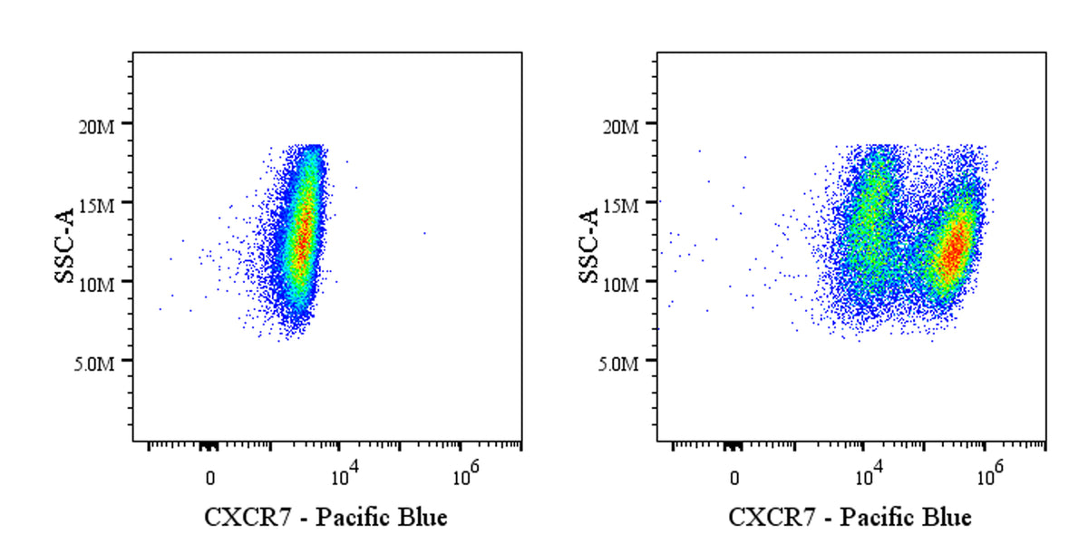 Pacific Blue Mouse Anti-Human/Mouse CXCR7 Antibody (S-3127)