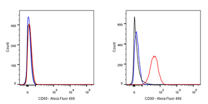 CD80 Recombinant Rabbit mAb (S-288-177)