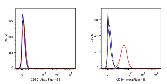 CD80 Recombinant Rabbit mAb (S-288-177)