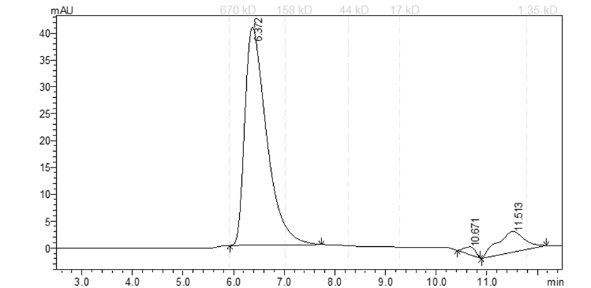BTK[C481R] Protein