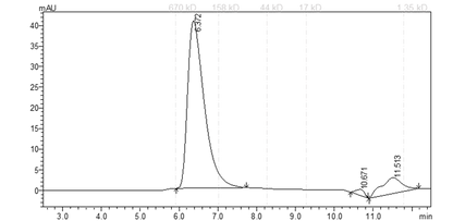 BTK[C481R] Protein