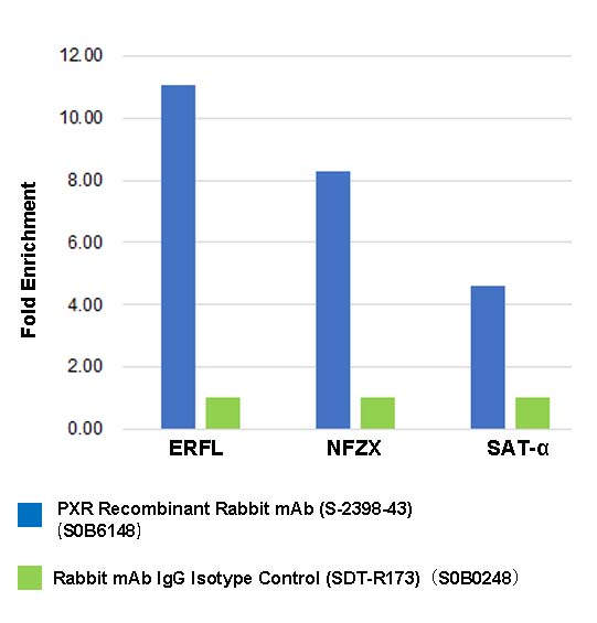 PXR Recombinant Rabbit mAb (S-2398-43)