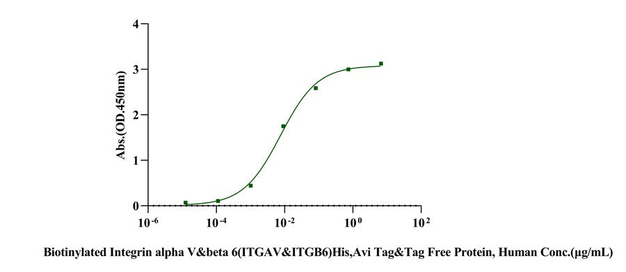 Biotinylated Integrin alpha V&beta 6(ITGAV&ITGB6) His,Avi Tag&Tag Free Protein, Human