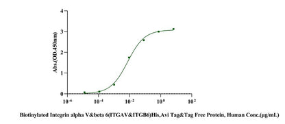 Biotinylated Integrin alpha V&beta 6(ITGAV&ITGB6) His,Avi Tag&Tag Free Protein, Human