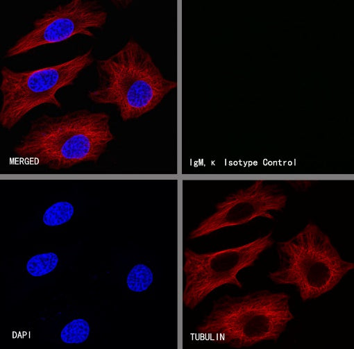 Mouse mAb IgM, κ Isotype Control (S-844-28)