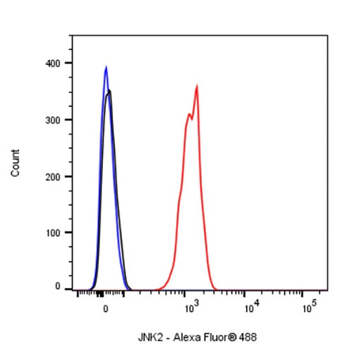 JNK2 Recombinant Rabbit mAb (S-1021-46)