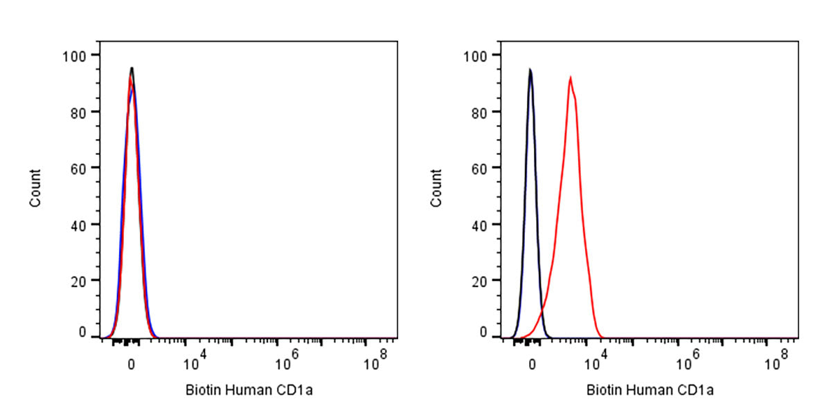 Biotin Mouse Anti-Human CD1a Antibody (HI149)