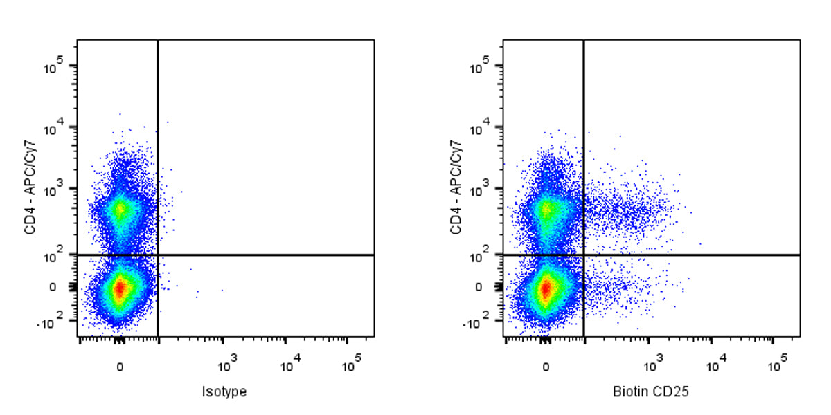Biotin Mouse Anti-Rat CD25 Antibody (OX-39)
