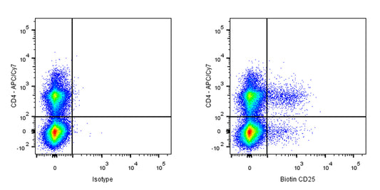 Biotin Mouse Anti-Rat CD25 Antibody (OX-39)