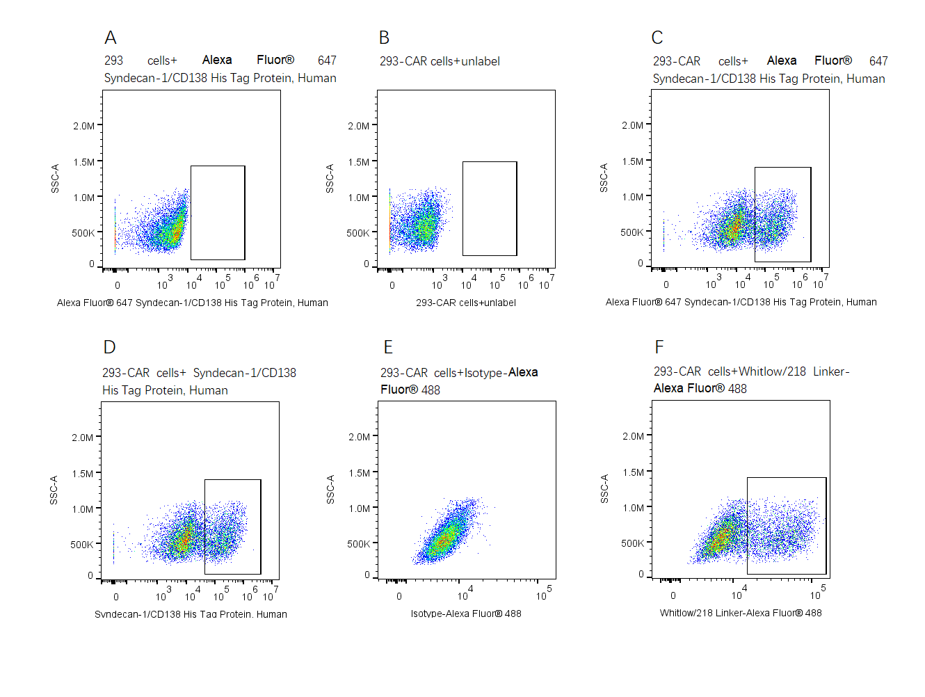 Alexa Fluor 647-Labeled Syndecan-1/CD138 His Tag Protein, Human