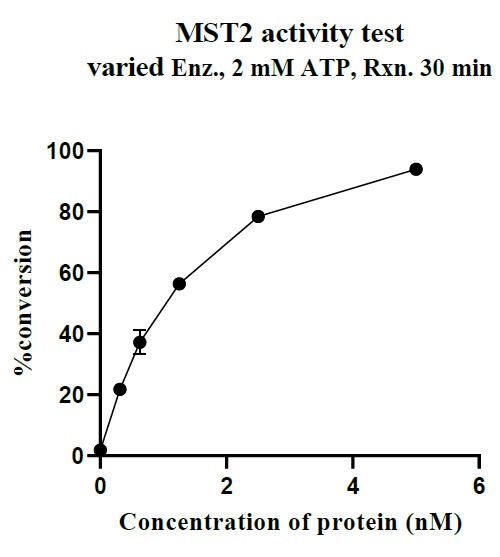 MST2 GST Tag Protein, Human